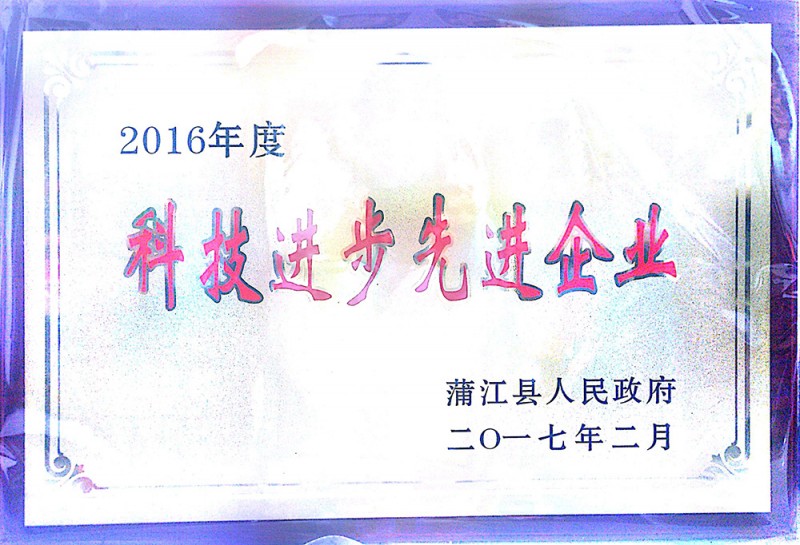 2016年度科技進步先進企業(yè)