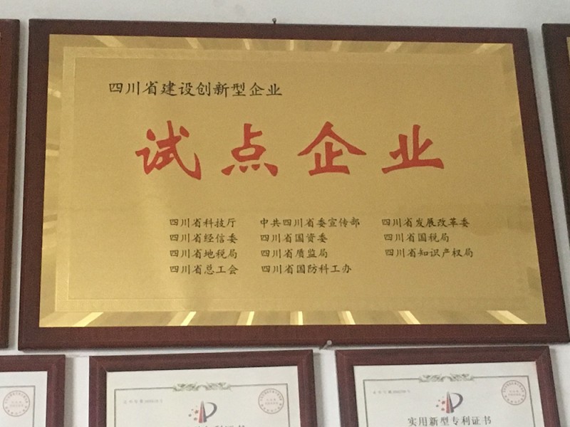 創(chuàng)新型試點企業(yè)